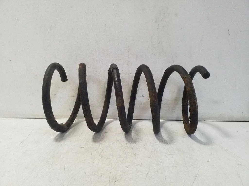 Rear coil spring