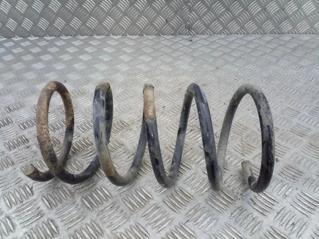 Rear coil spring