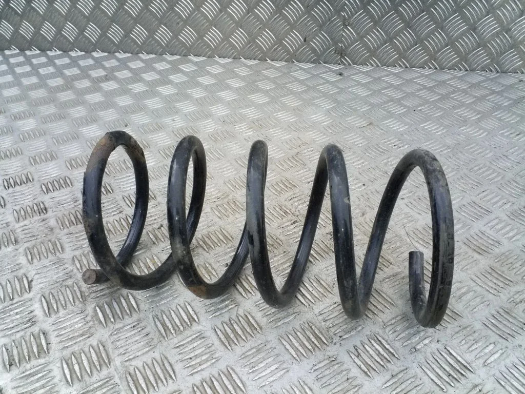 Rear coil spring