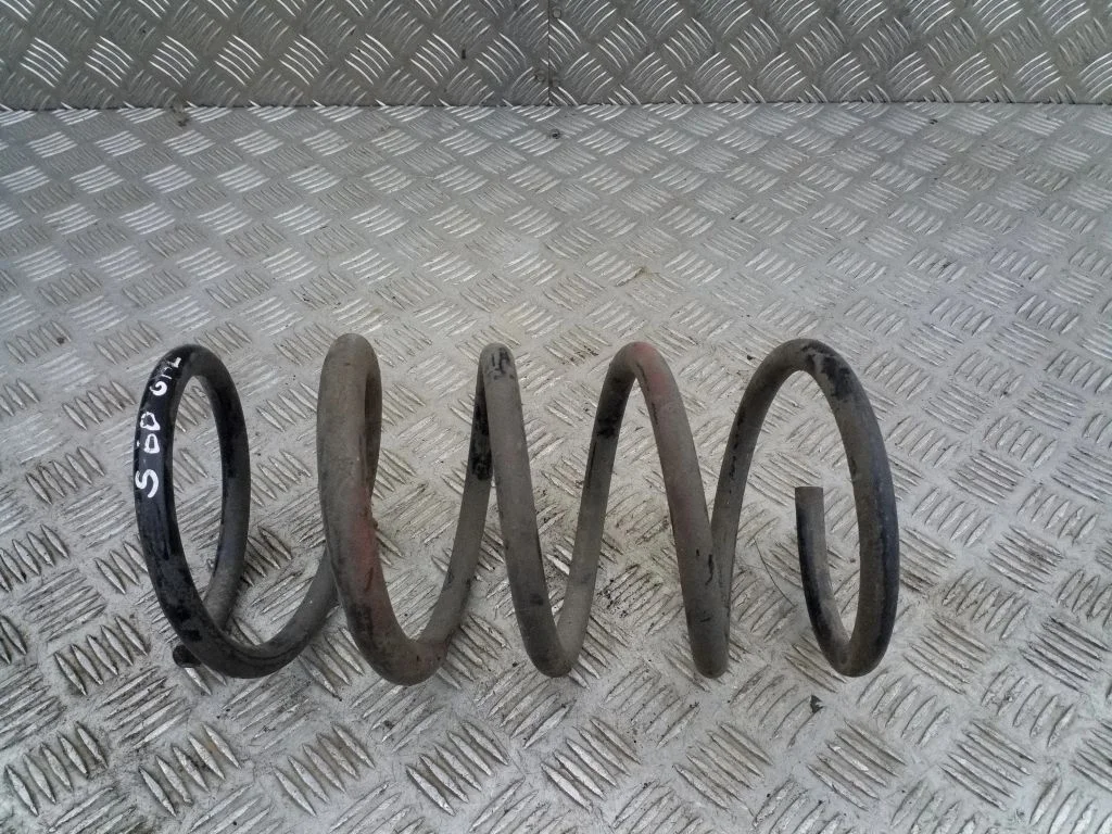 Rear coil spring
