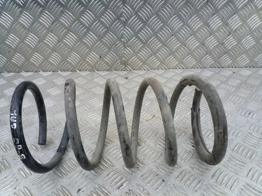 Rear coil spring