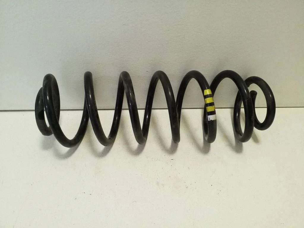 Rear coil spring