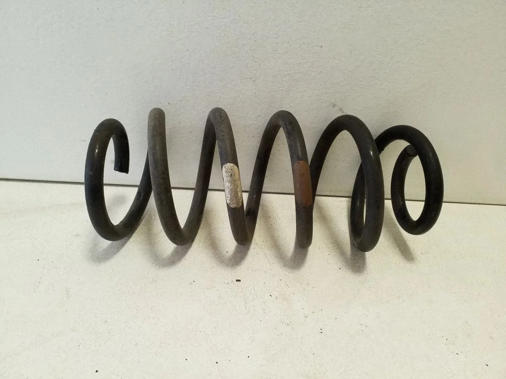 Rear coil spring