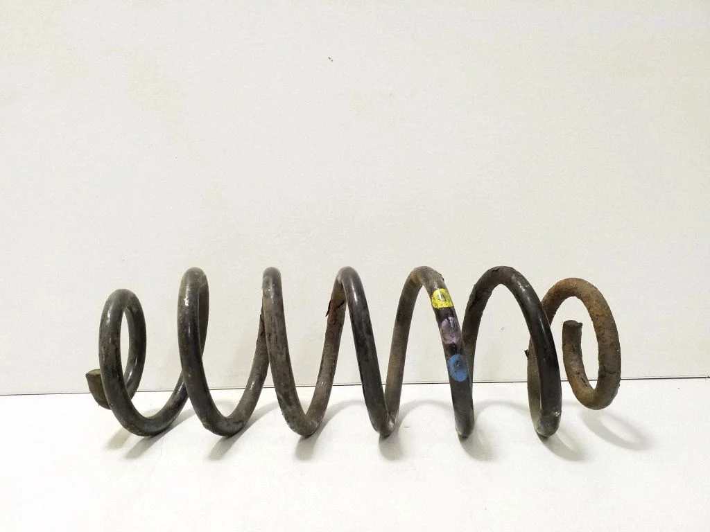 Rear coil spring