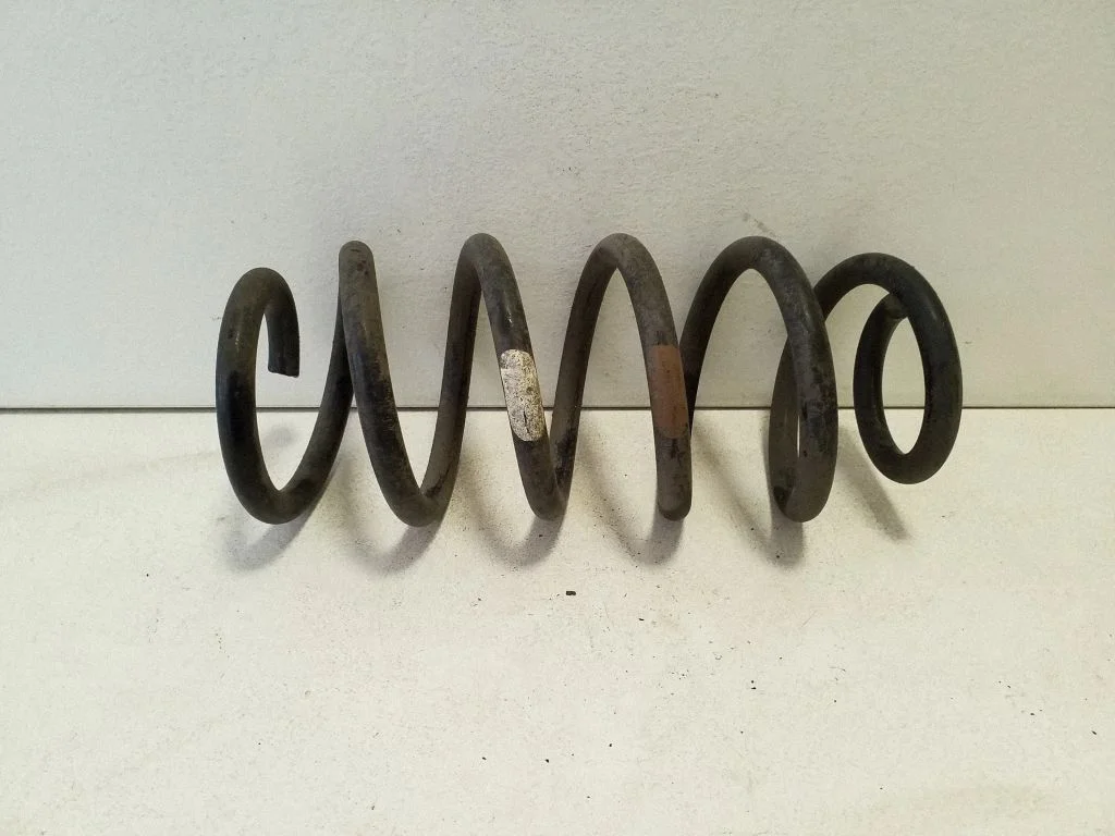 Rear coil spring