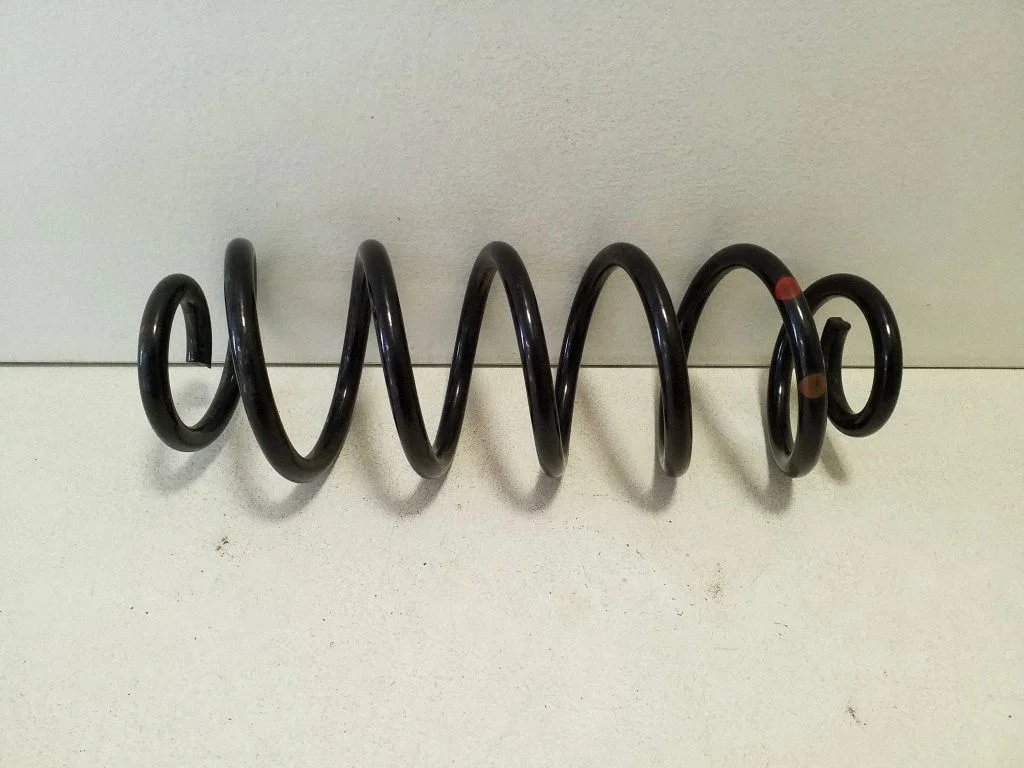 Rear coil spring