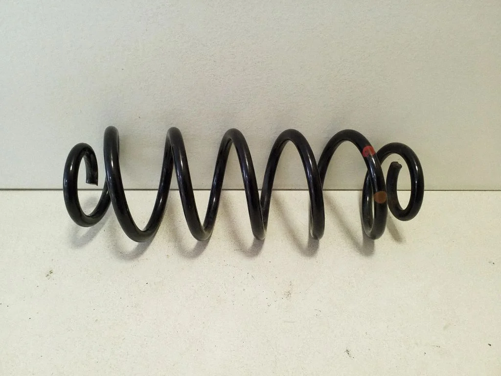 Rear coil spring