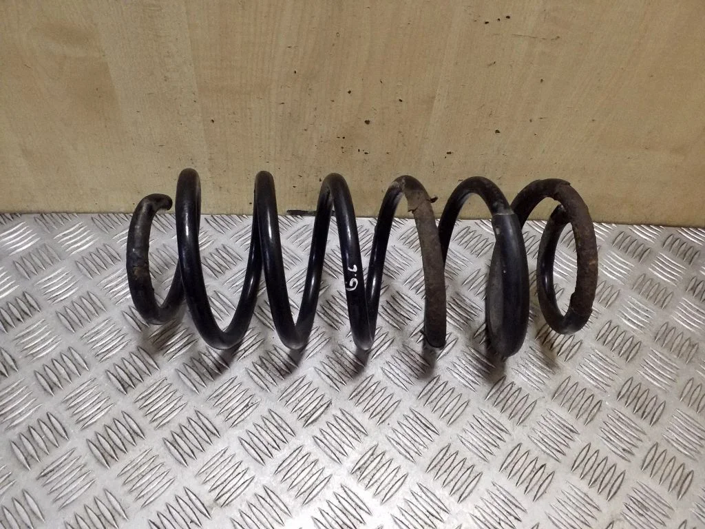 Rear coil spring