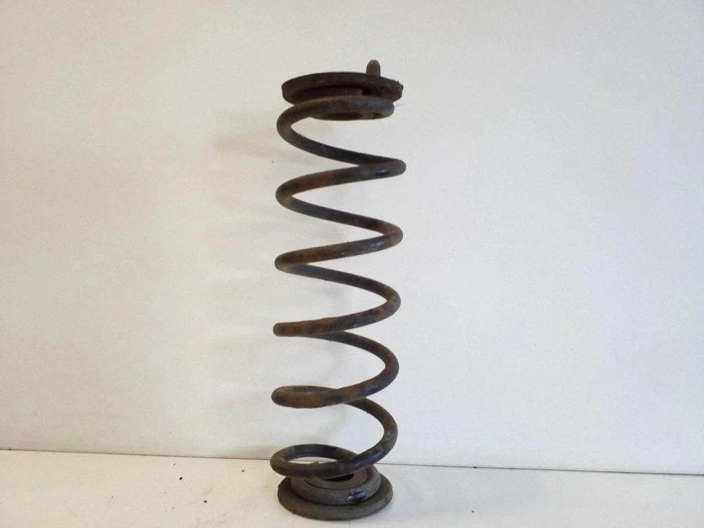 Rear coil spring