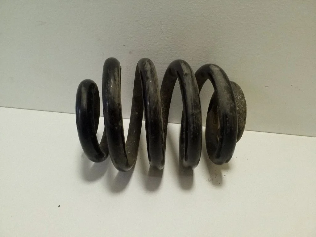 Rear coil spring