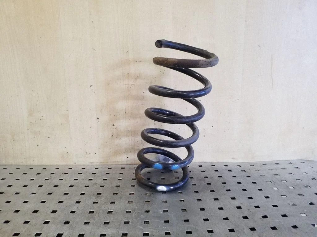 Rear coil spring
