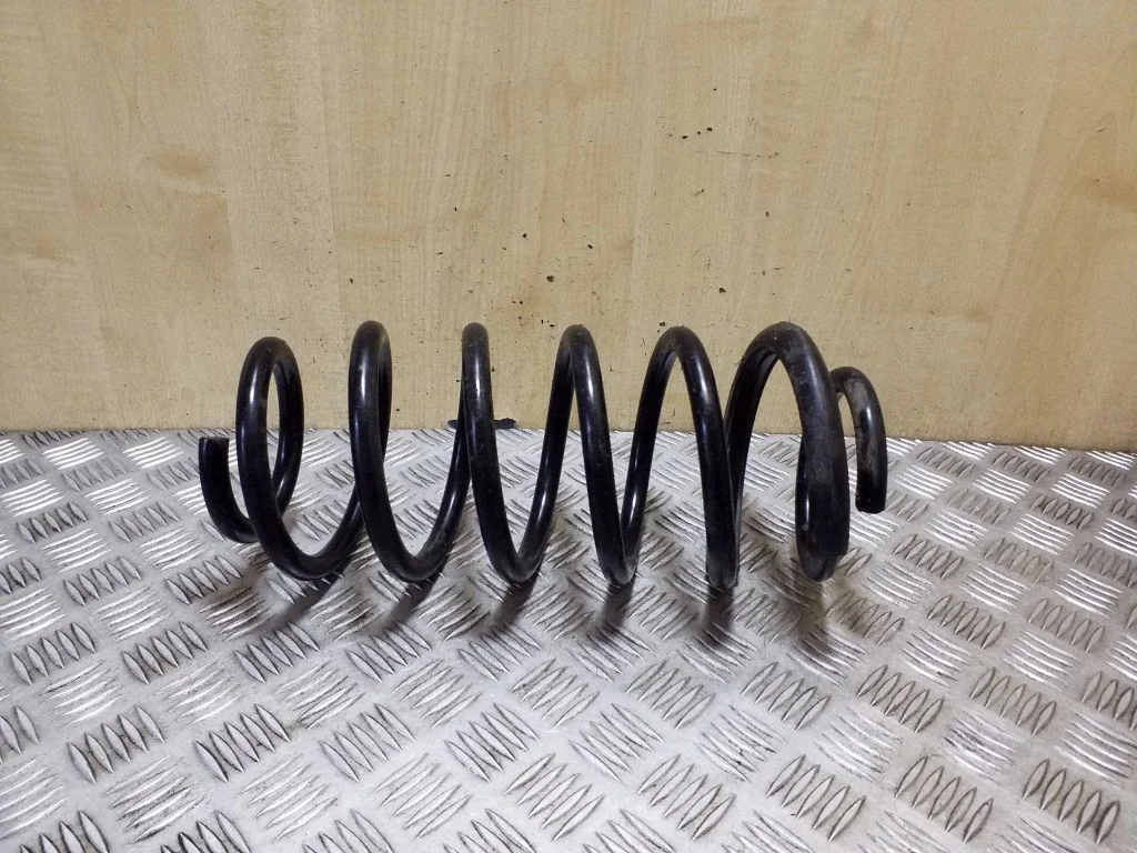 Rear coil spring