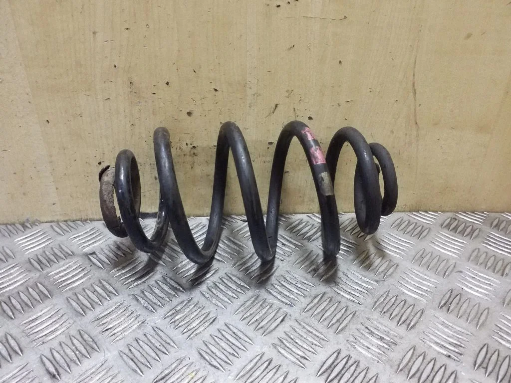 Rear coil spring