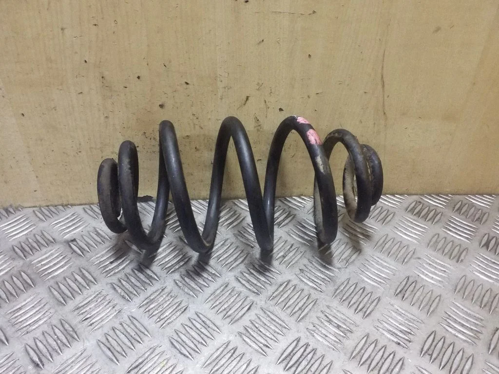 Rear coil spring