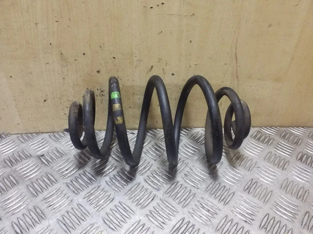 Rear coil spring