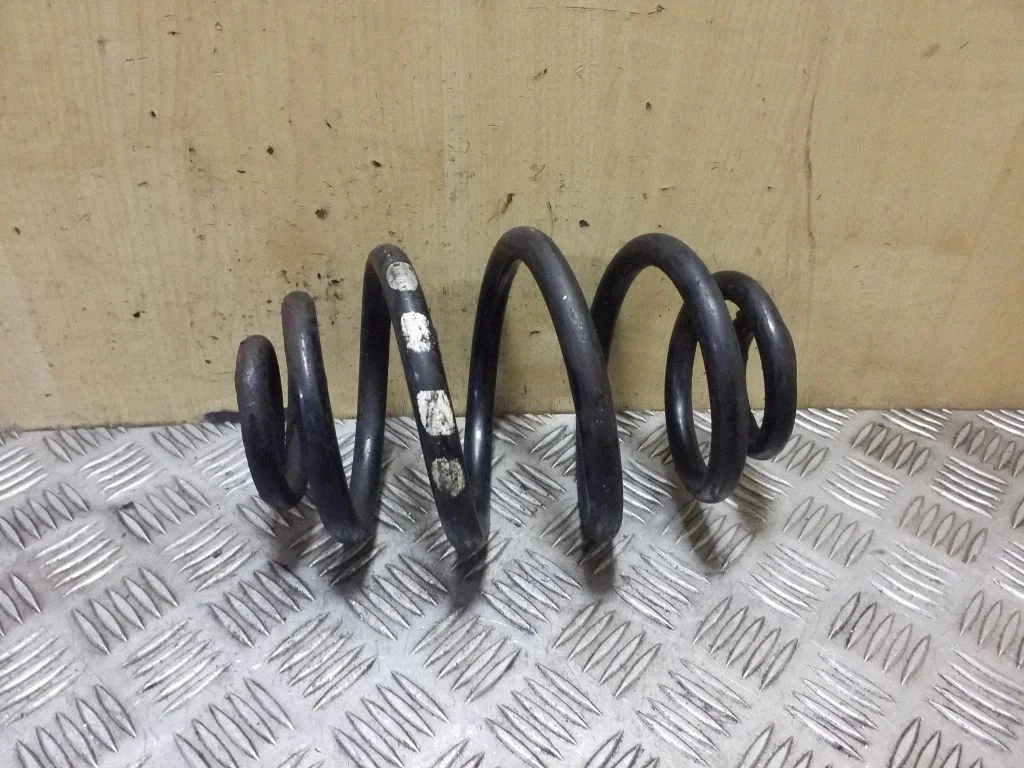 Rear coil spring