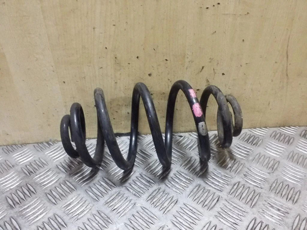 Rear coil spring