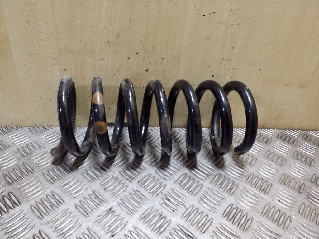 Rear coil spring