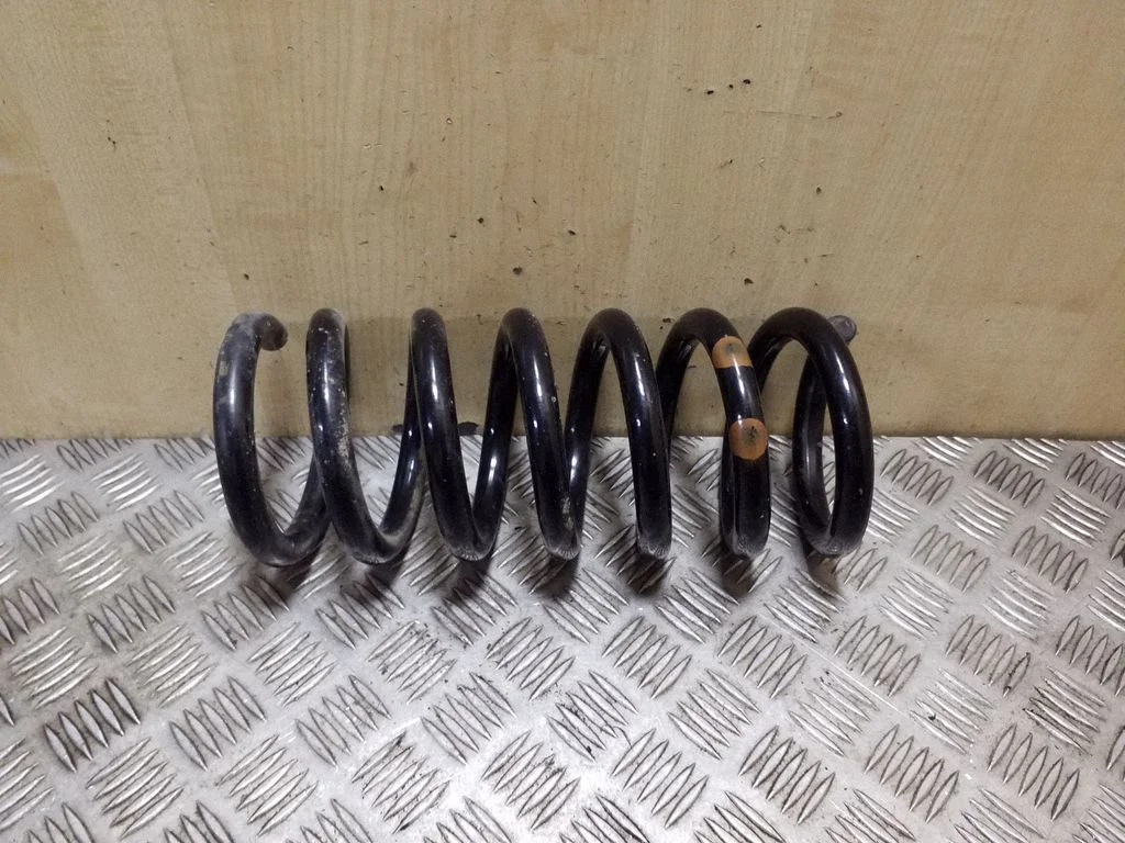 Rear coil spring