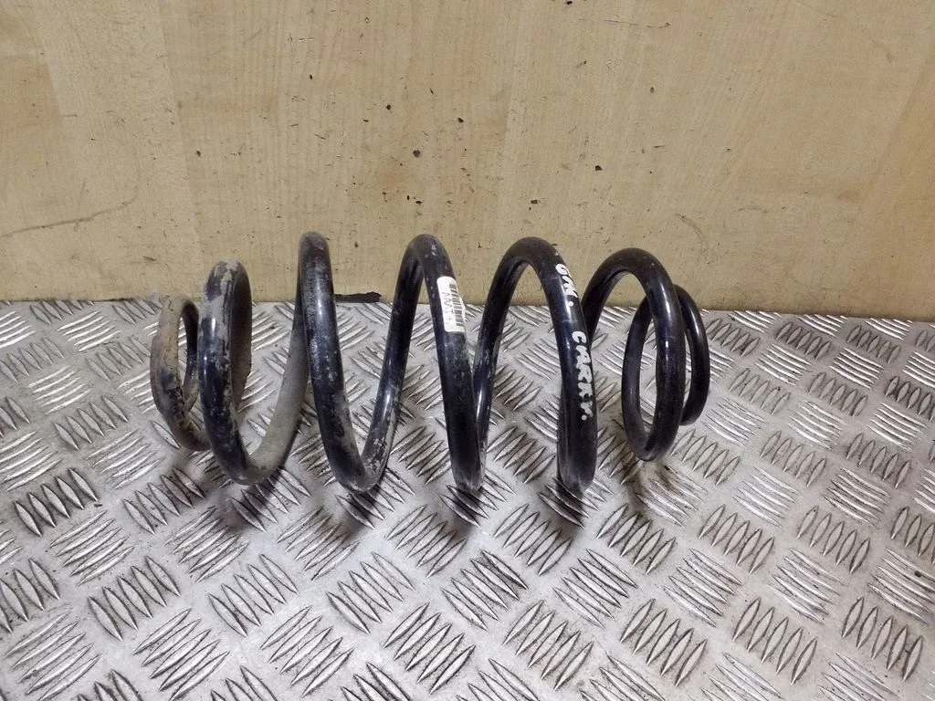 Rear coil spring