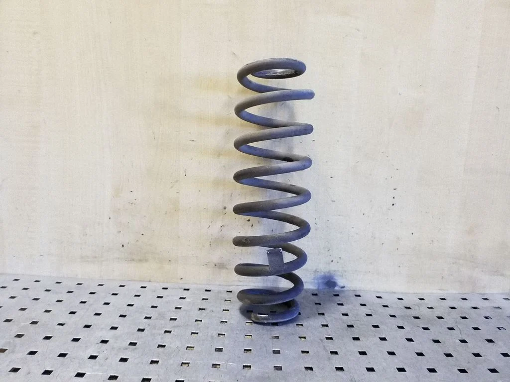 Rear coil spring