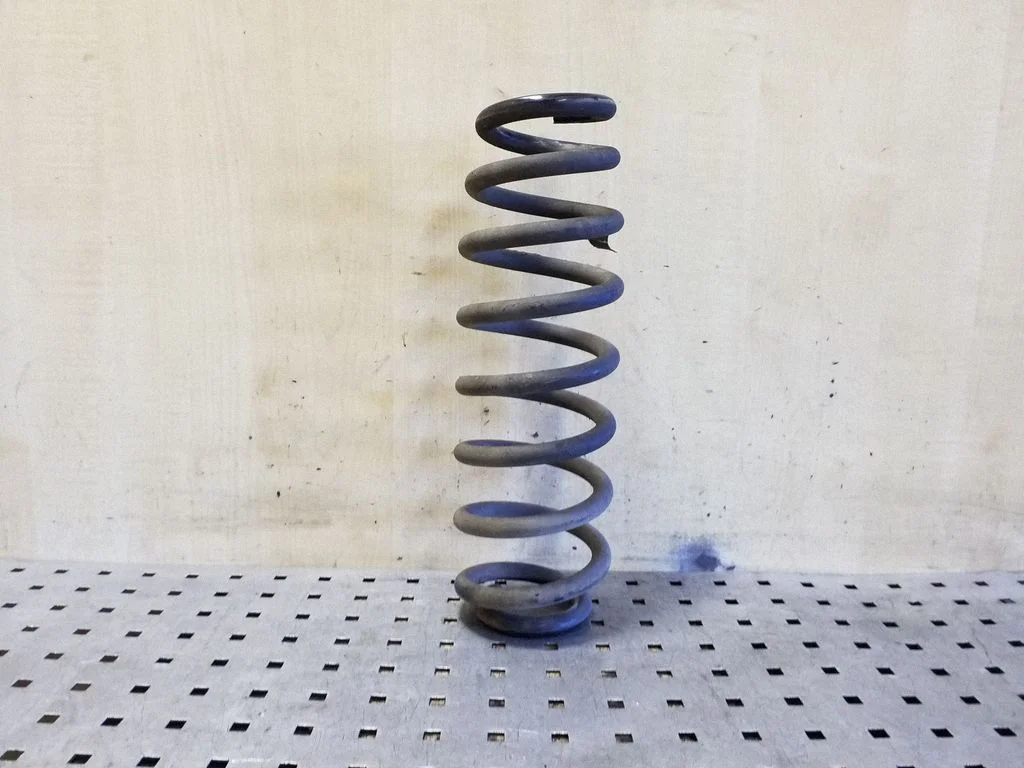 Rear coil spring