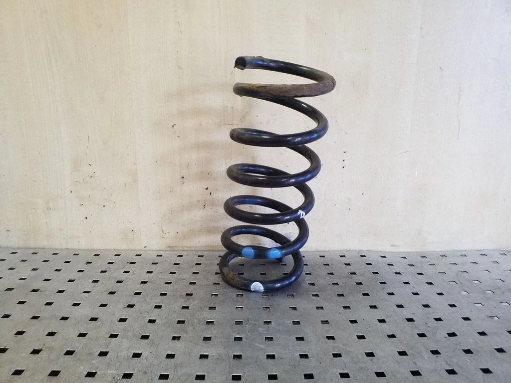 Rear coil spring