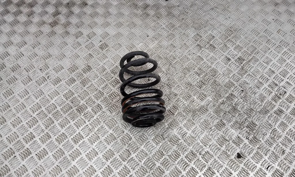 Rear coil spring
