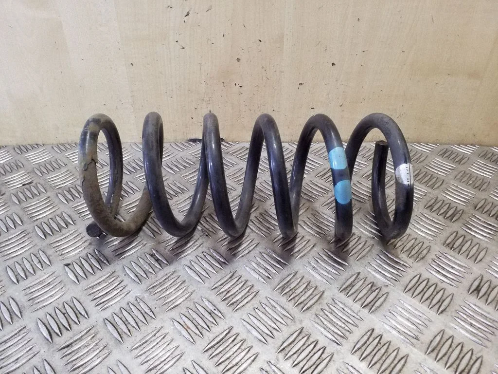 Rear coil spring
