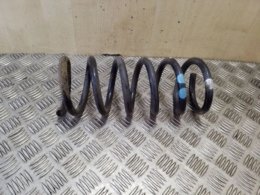 Rear coil spring