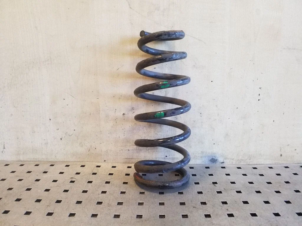 Rear coil spring