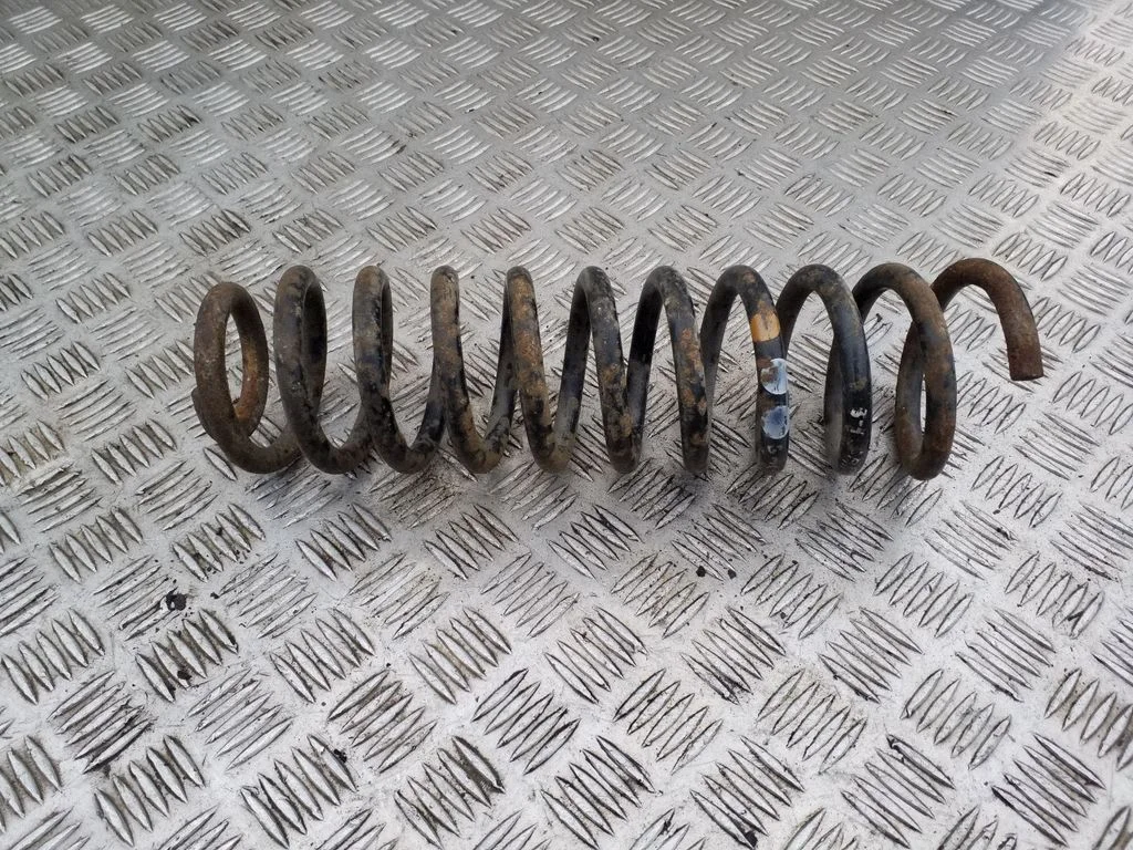 Rear coil spring