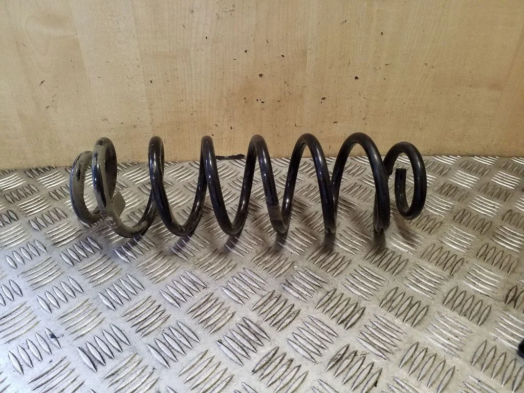 Rear coil spring