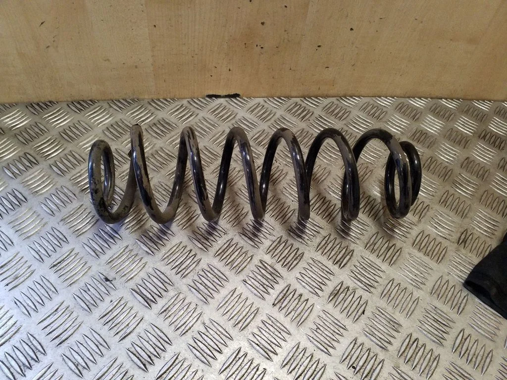 Rear coil spring