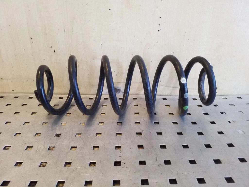 Rear coil spring