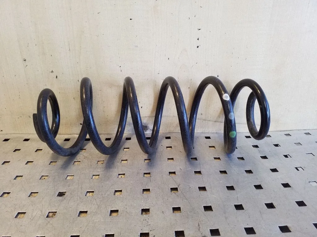 Rear coil spring