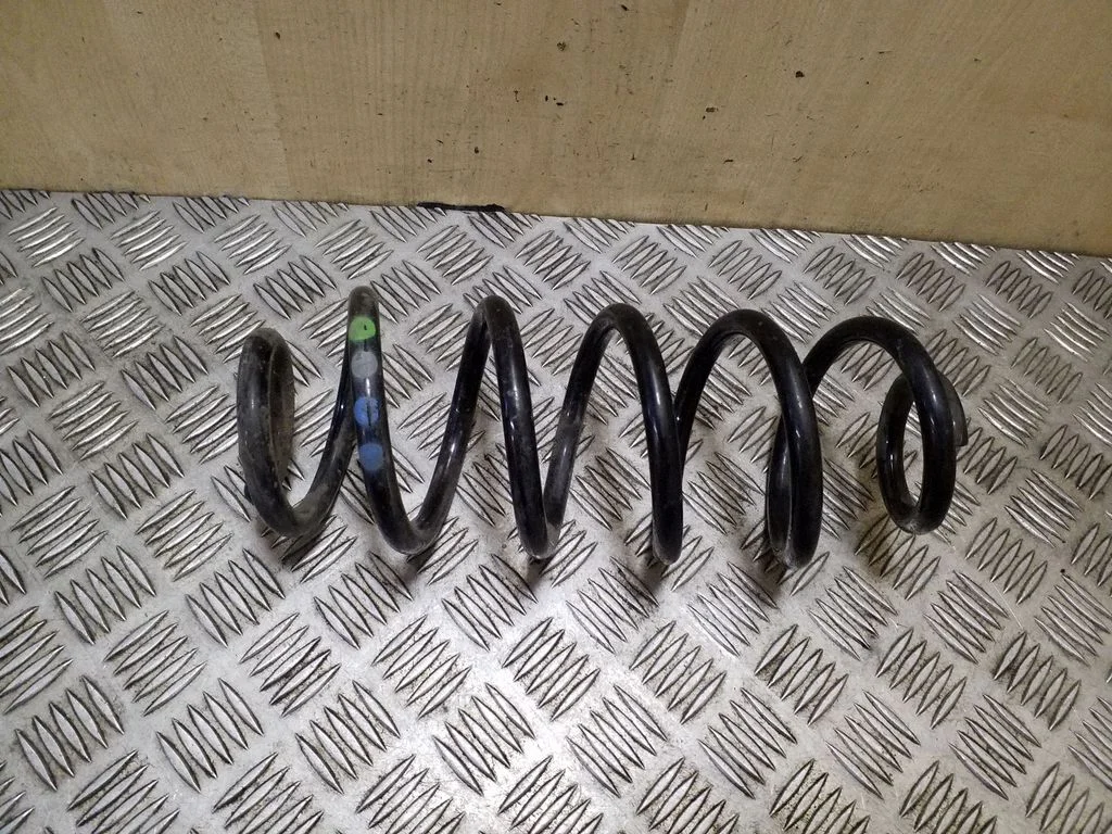 Rear coil spring