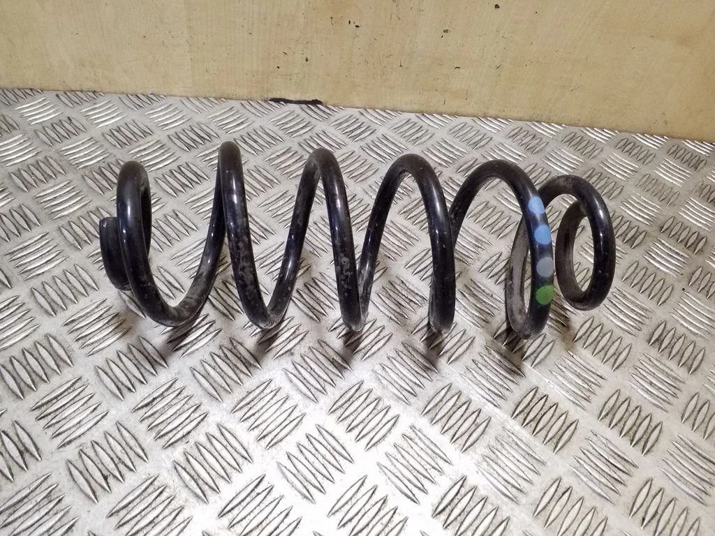 Rear coil spring
