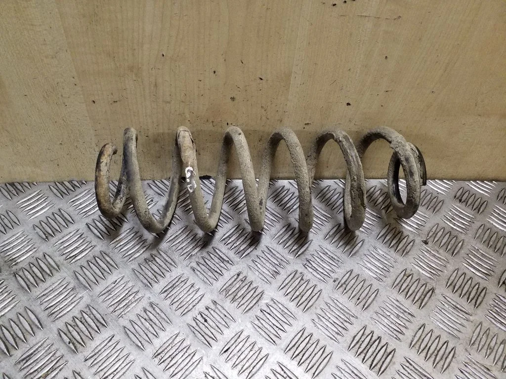 Rear coil spring