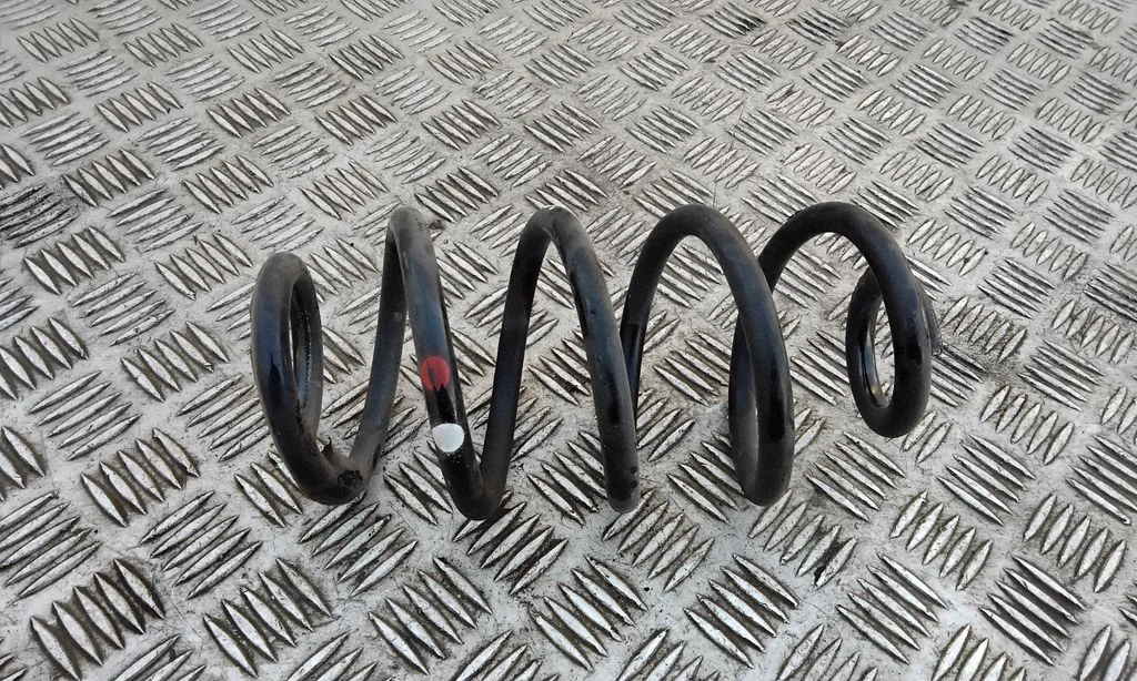 Rear coil spring