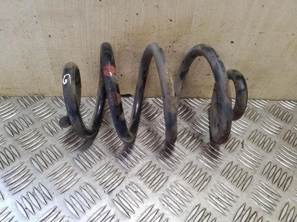 Rear coil spring