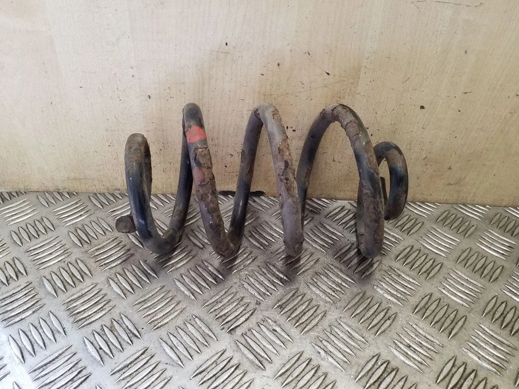 Rear coil spring