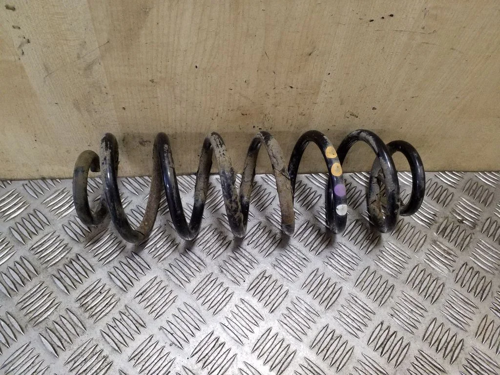 Rear coil spring
