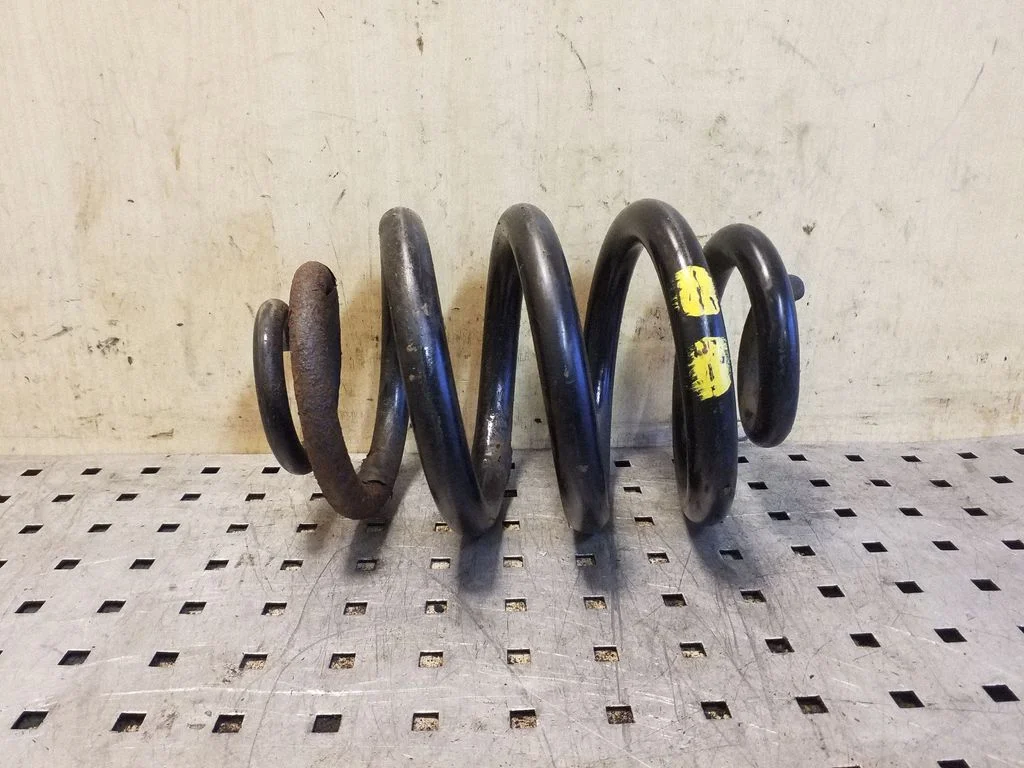 Rear coil spring