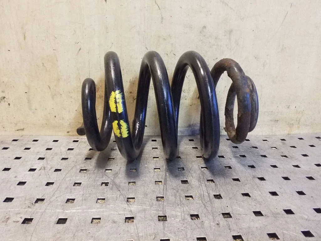 Rear coil spring