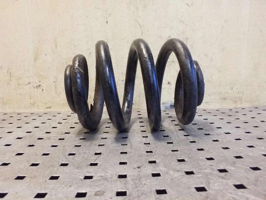 Rear coil spring