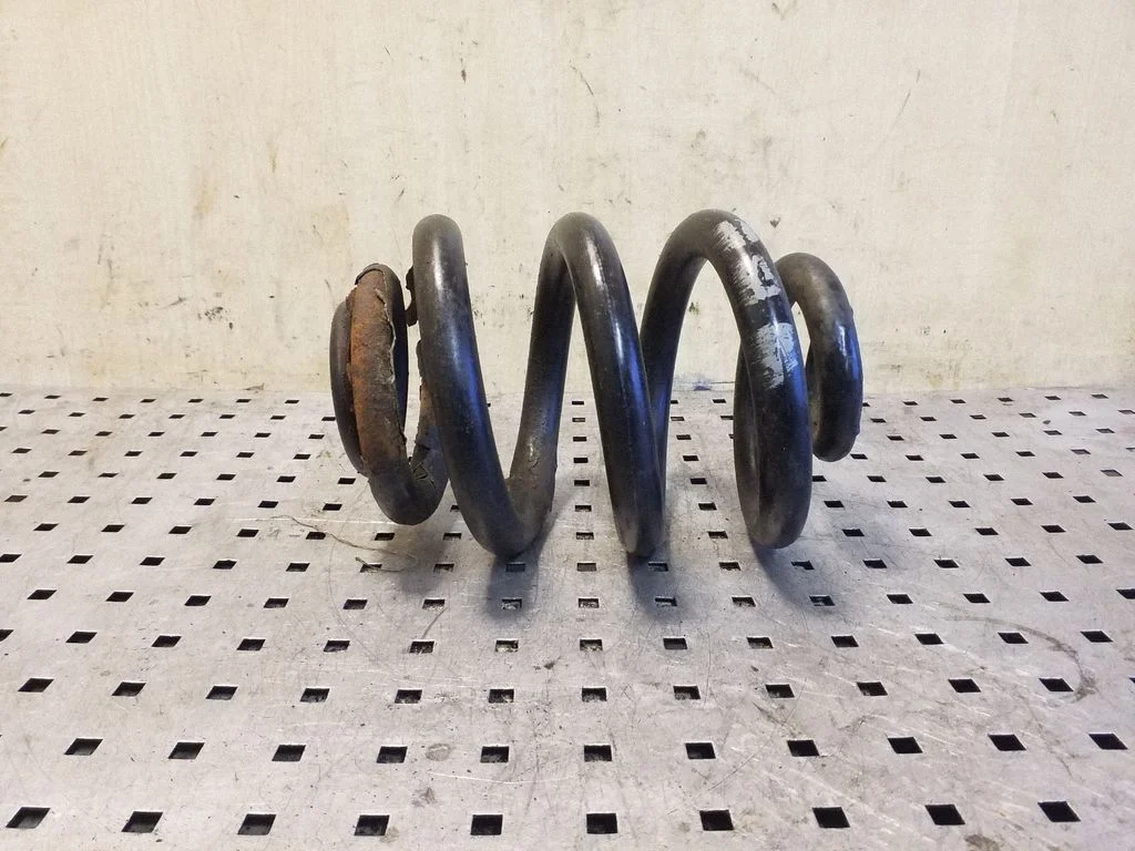 Rear coil spring