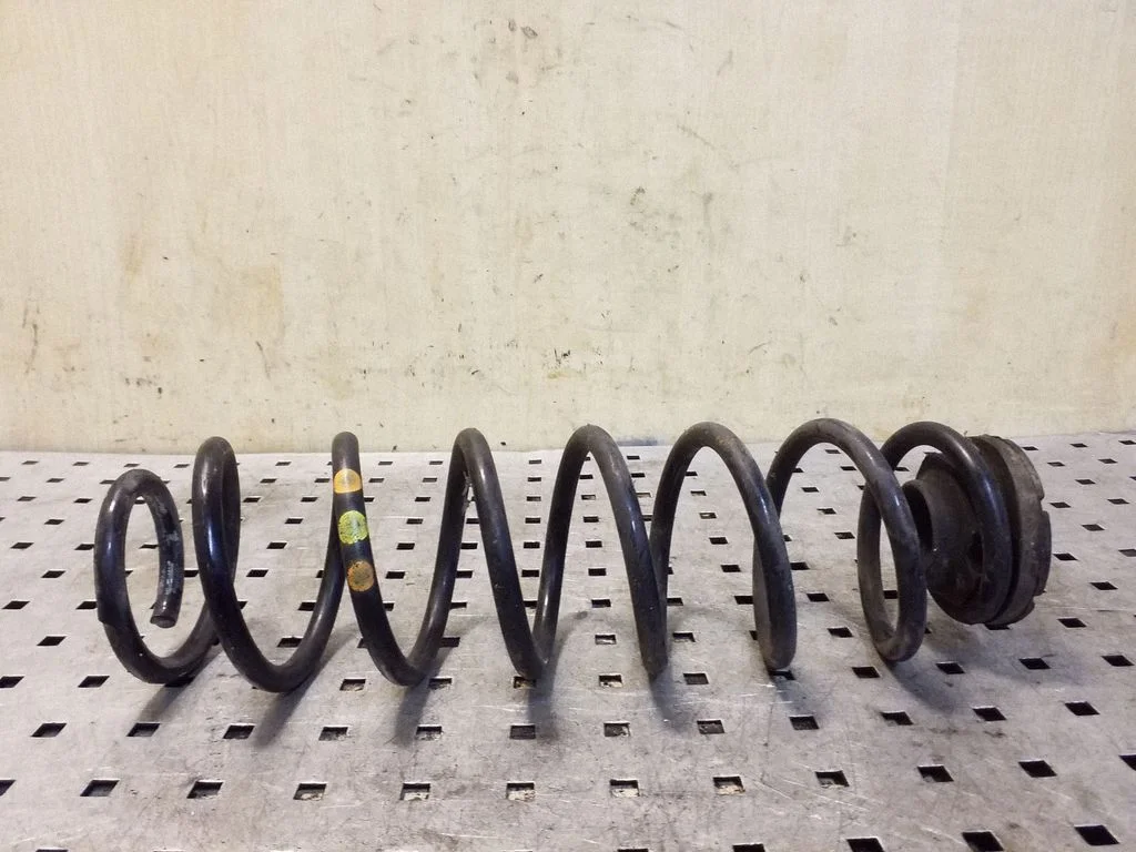 Rear coil spring