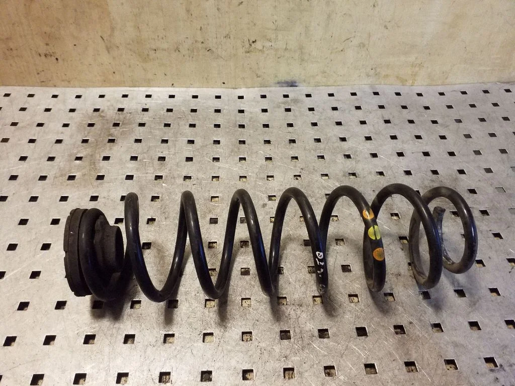 Rear coil spring