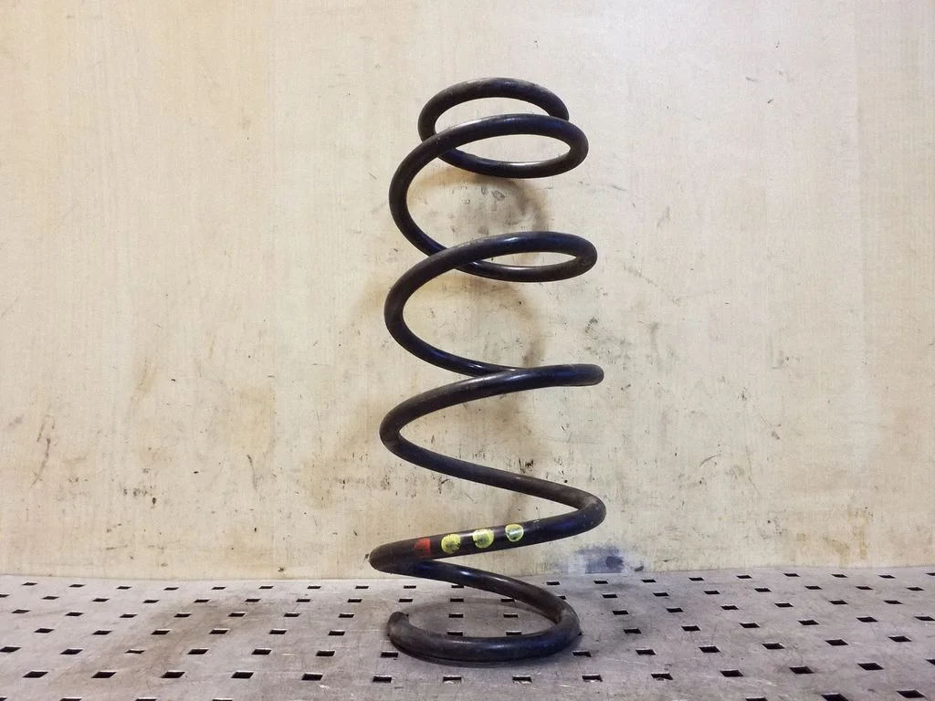 Rear coil spring